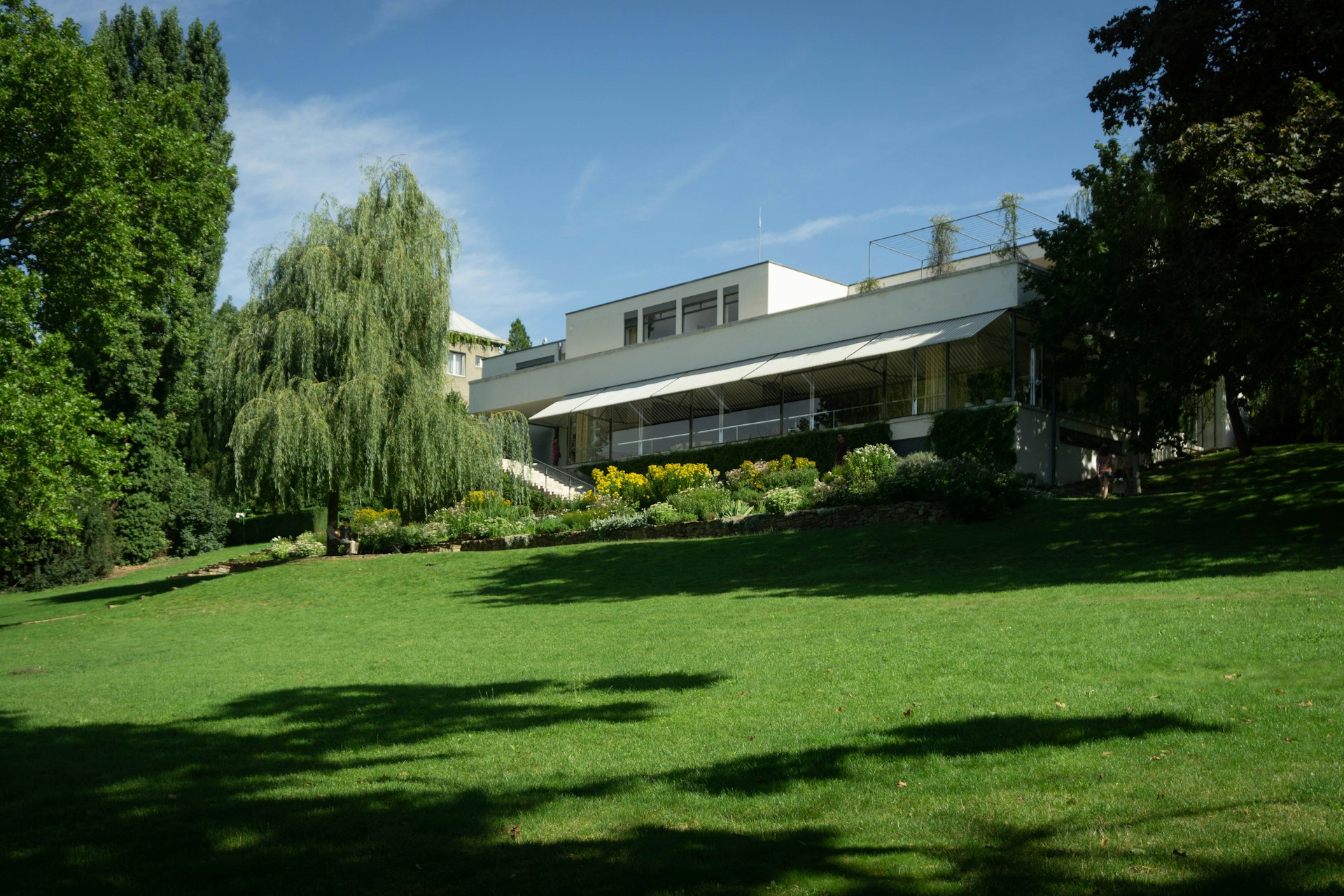 kunstgras kopen